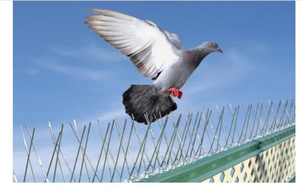 WhatsApp Image 2025-07-20 at 20.41.35(2)