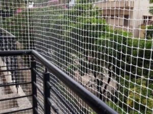 Comprehensive Balcony Safety and Bird Control Solutions in Lohegaon, Pune – Protect Your Home and Loved Ones