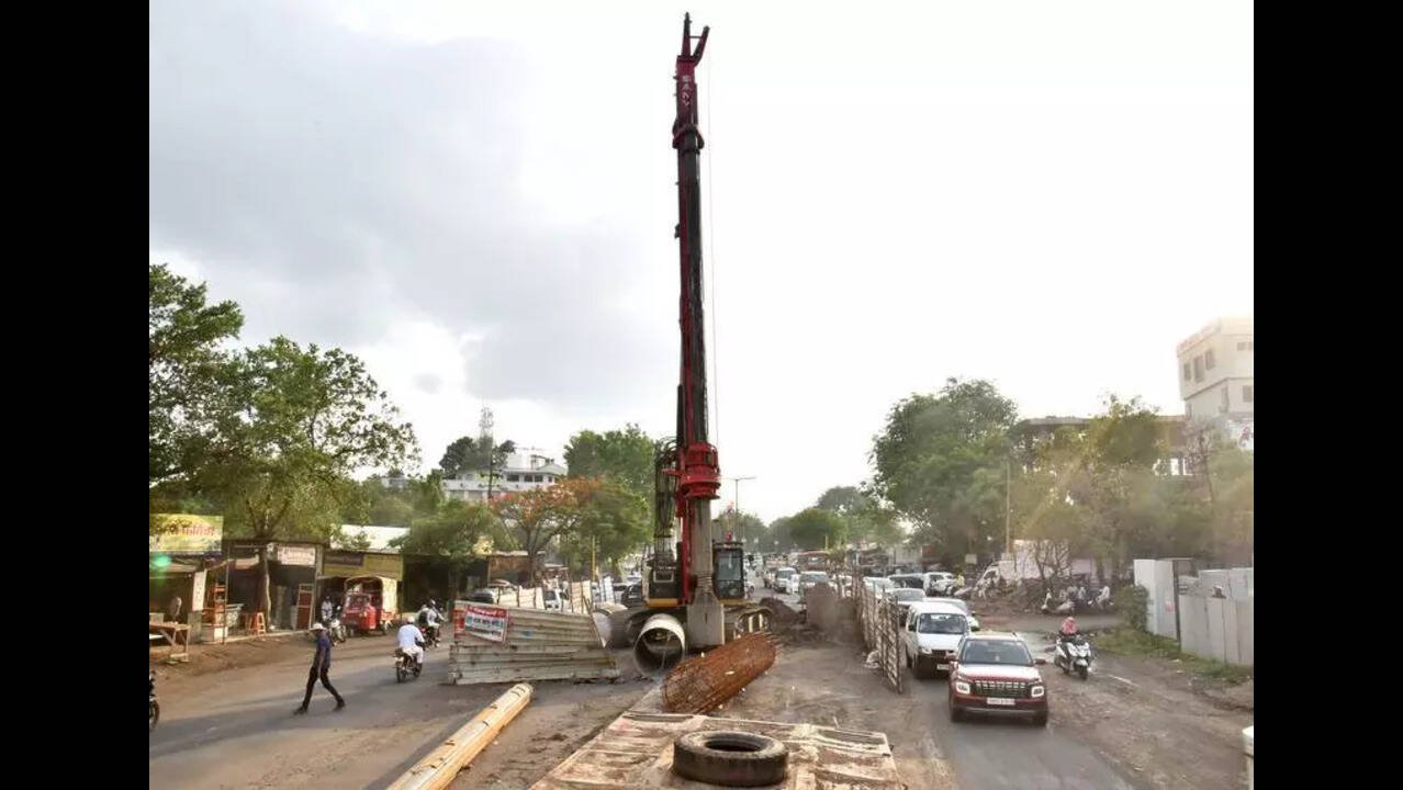 Comprehensive Bird and Pigeon Control Solutions in Gangapur Road, Nashik - Keep Your Home Safe and Clean