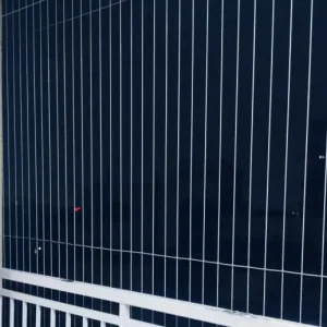 Comprehensive Bird Control Solutions for a Safer Old Employment Chowk, Solapur