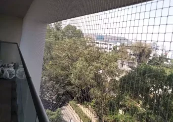 Comprehensive Pigeon and Bird Control Solutions in Chinchwad, Pune – Protecting Your Home and Society Efficiently