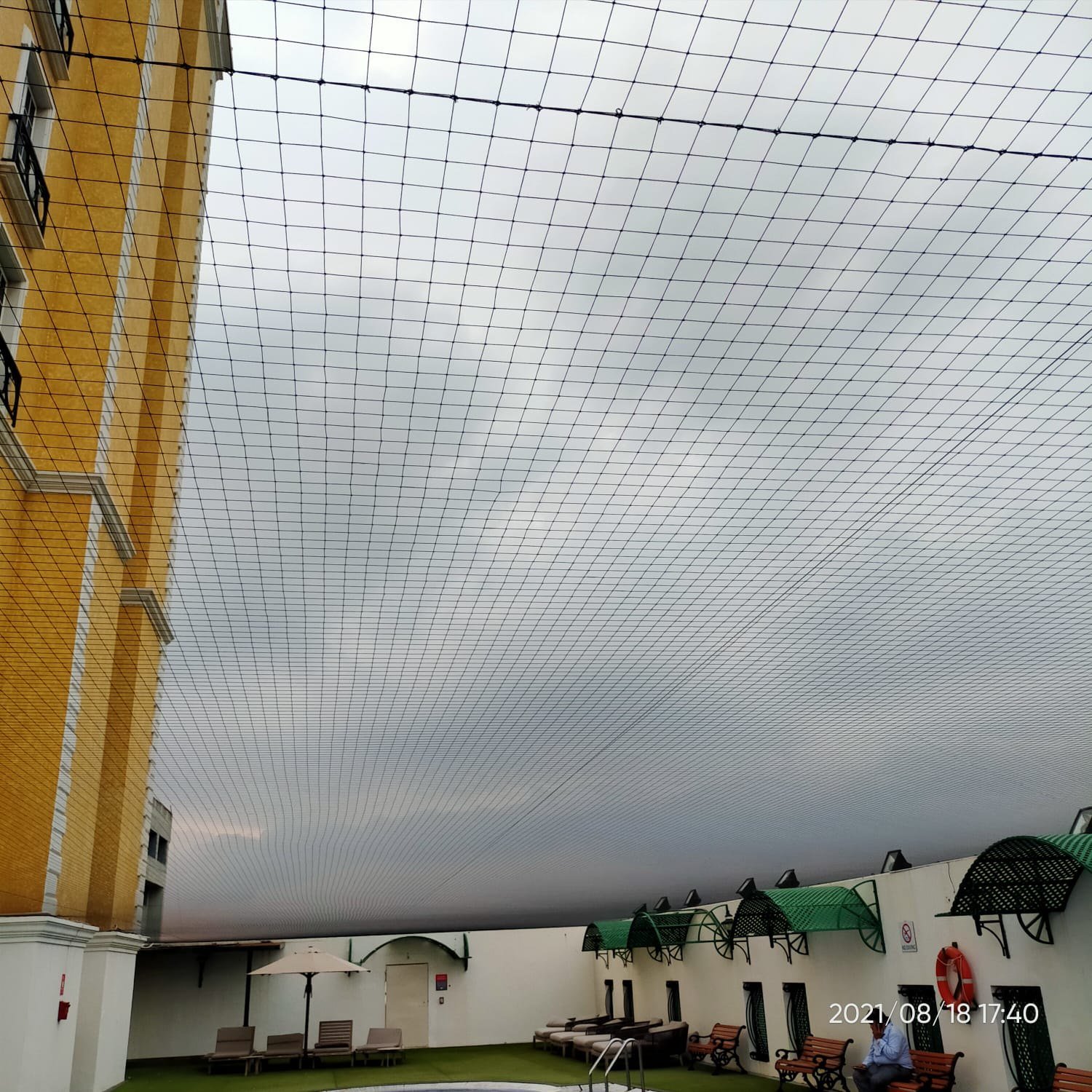 Discovering the Best Pigeon and Bird Control Solutions in Taroda Road, Nanded