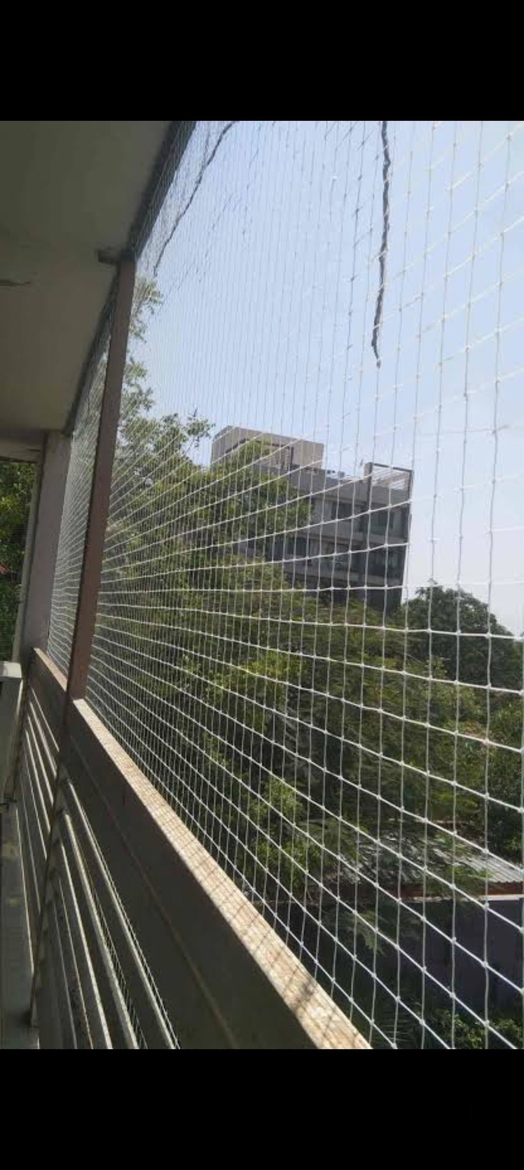 Elevate Your Home Safety and Bird Control with Expert Pigeon Net Installation in Asarjan Nanded