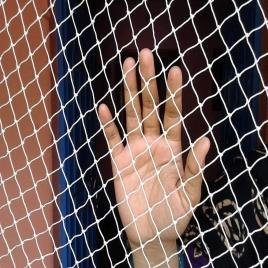 Elevate Your Home Security and Aesthetic – Pigeon Net Installation in Hinjewadi Pune