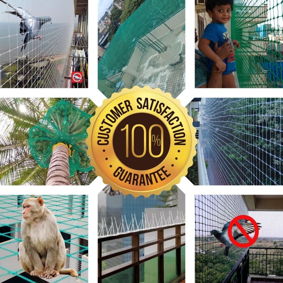 Elevating Safety and Bird Control in Pingali Road Parbhani - Expert Installation Solutions