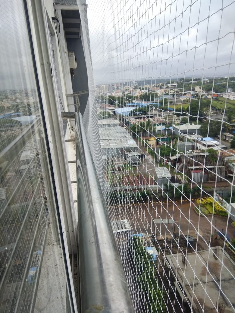 Engaging Pigeon Net Solutions - Pigeon net installation in Kodoli for resilient urban living