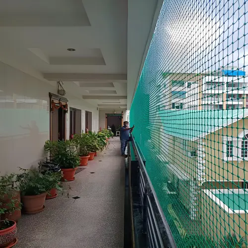 Enhance Safety and Comfort in Trimurti Chowk Nashik with Expert Pigeon Net Installation