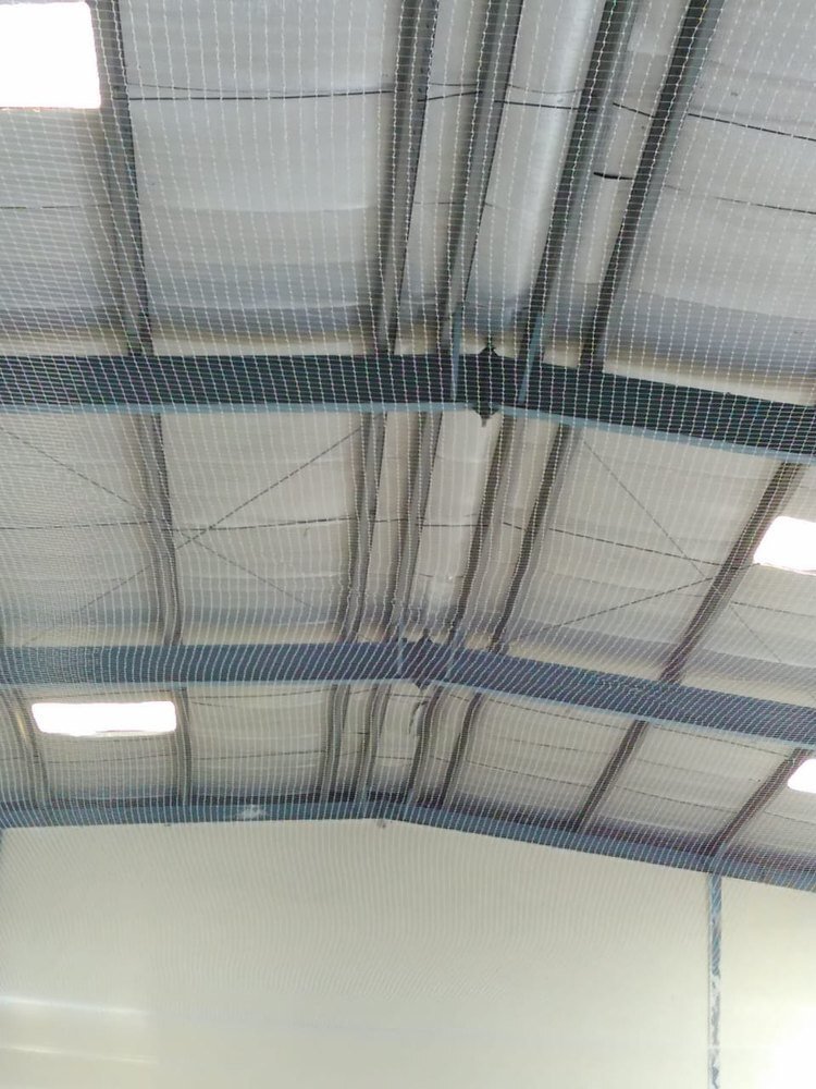 Enhance Your Home Safety and Bird Control with Expert Pigeon Net Installation in Handewadi Pune