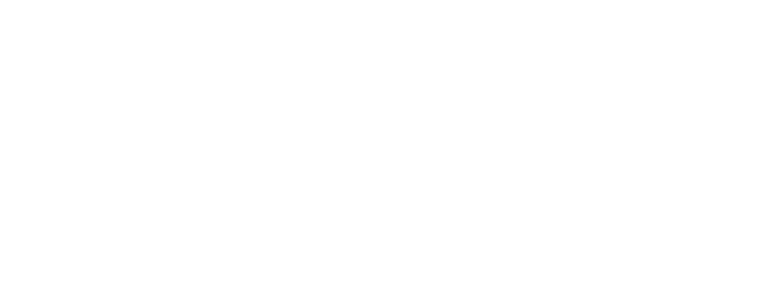 Enhance Your Property’s Safety and Aesthetics with Expert Pigeon Net Installation in Narayan Peth Pune