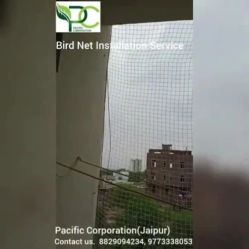 Ensure Safety and Hygiene with Expert Bird and Child Protection Solutions in Collector Office Road, Parbhani