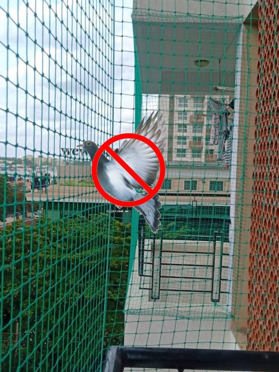 Ensuring Balcony Safety in Laxmi Colony, Akola: Pigeon Net Installation and Invisible Grills
