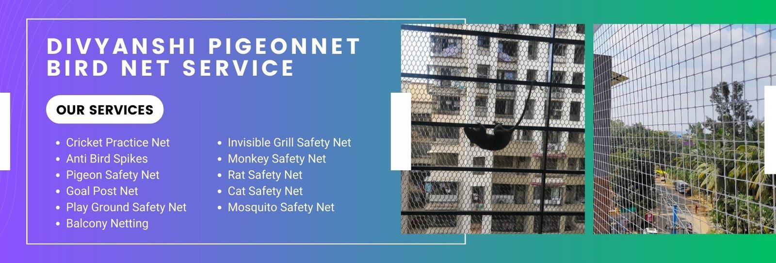 Ensuring Safety and Bird Control in Akot Road, Akola – Complete Solutions for Pigeon and Child Safety