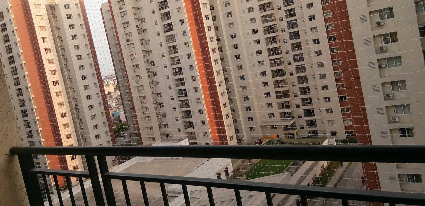 Ensuring Safety and Bird Control in Bramhapuri Nanded - Effective Solutions for Modern Homes