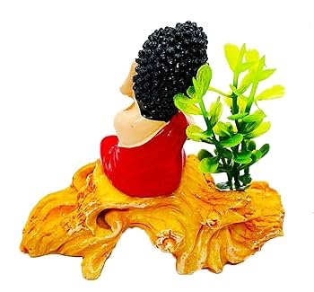 Ensuring Safety and Bird Control in Gokulpeth, Nagpur — Expert Solutions for Your Home and Society