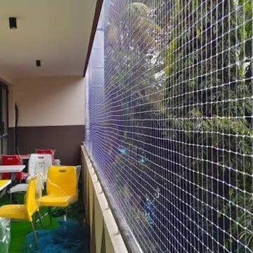 Ensuring Safety and Bird Control in Subhash Nagar, Akola - Effective Solutions for Homes and Society