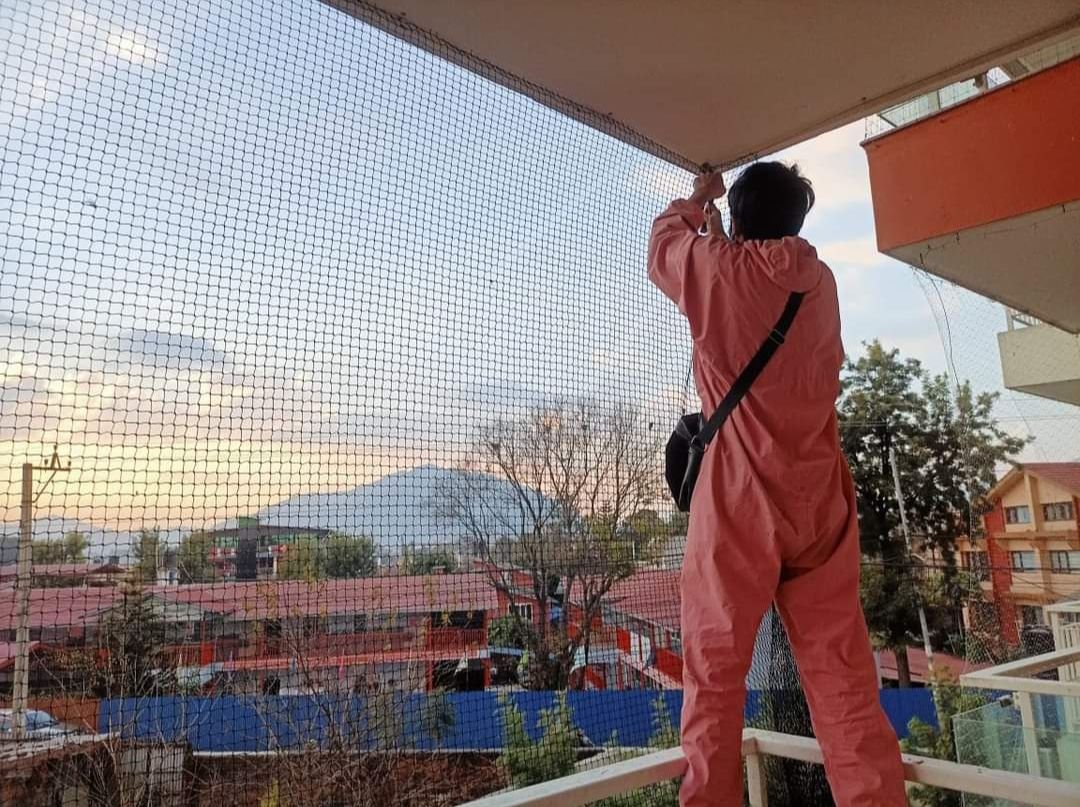 Ensuring Safety and Comfort: Bird and Child Protection Solutions in Basmat Road Parbhani