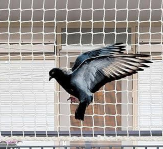 Ensuring Safety and Comfort in Pimple Saudagar, Pune – Expert Solutions for Pigeon Nets, Invisible Grills, and More