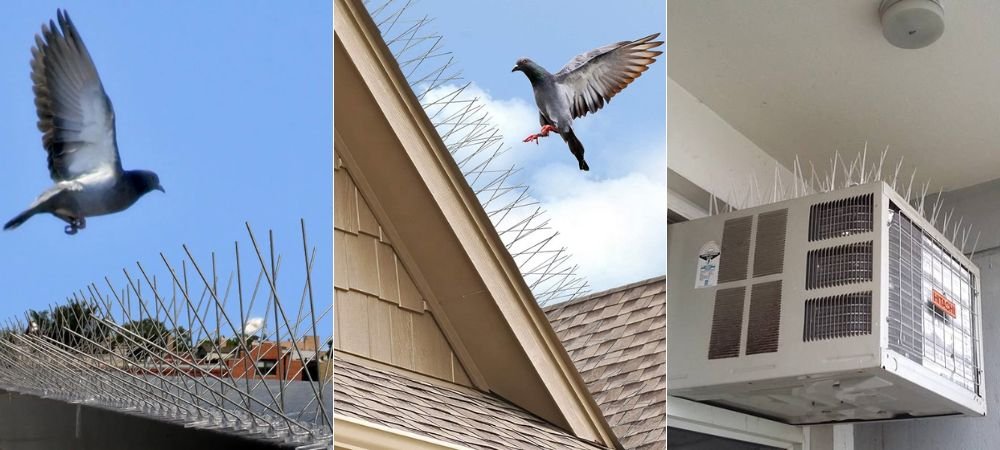 Ensuring Safety and Comfort: Pigeon Net, Invisible Grill, and Balcony Safety Solutions in Pimpri Pune