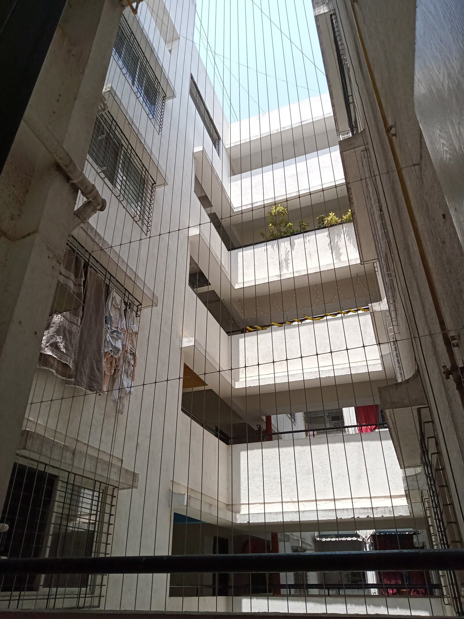 Ensuring Safety and Comfort with Expert Pigeon Net Installation in Sangvi, Pune