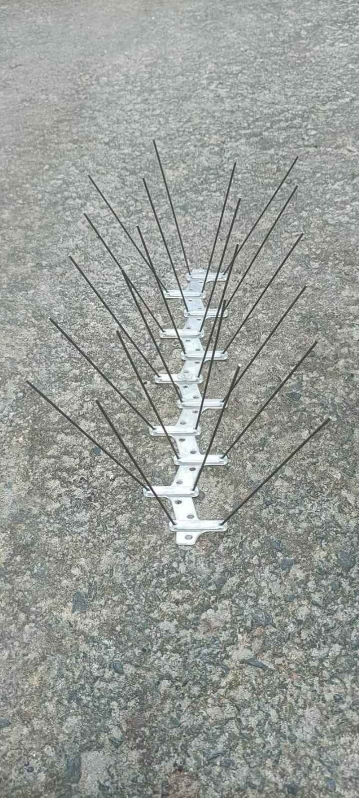 Ensuring Safety and Serenity: Bird Control and Child Protection Solutions in Jule Solapur - a Complete Guide