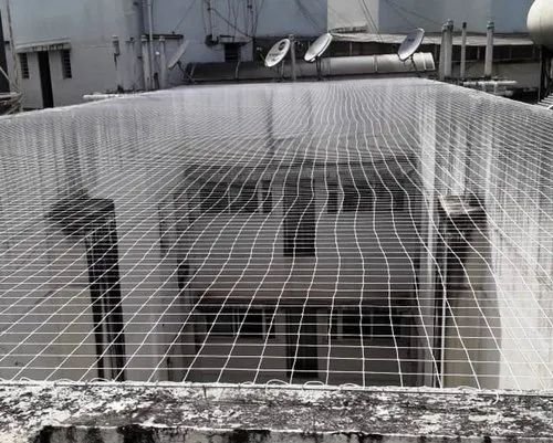 Pigeon Net Installation in Baijipura  Invisible Grill in Baijipura | BK Pigeon Net  Invisible Grill