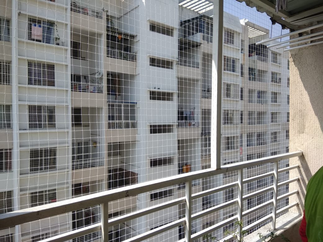 Pigeon Net Installation in Govind Nagar Akola – Ensuring Safety and Pest-Free Living