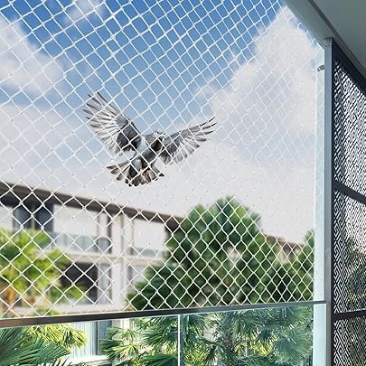 नागपुर में कबूतर जाल स्थापना  अदृश्य ग्रिल सेवाएं | rkpigeonnetinvisiblegrill