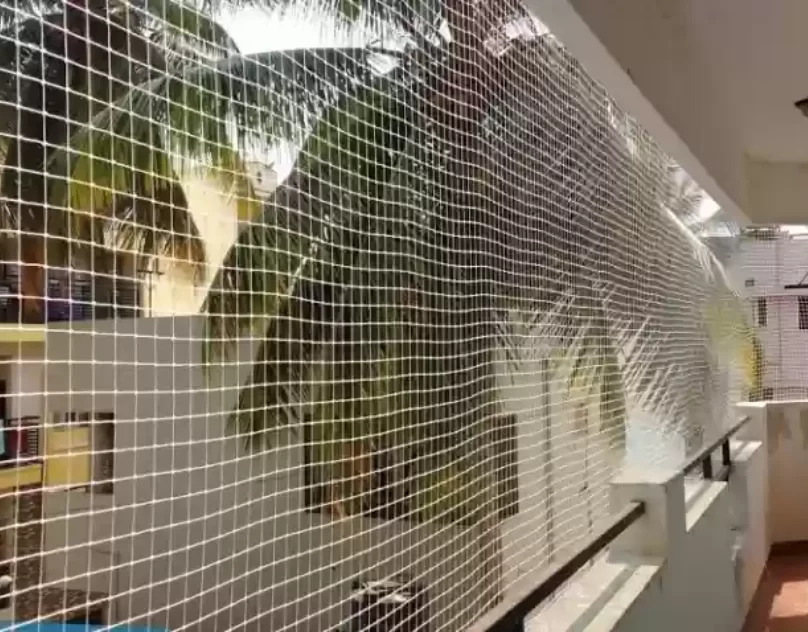 नागपुर में कबूतर जाल स्थापना  अदृश्य ग्रिल सेवाएं | rkpigeonnetinvisiblegrill