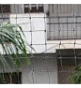 Pigeon Net Installation in Nirala Bazar | Balcony Safety Nets Invisible Grill