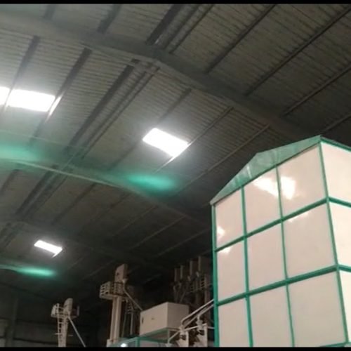 Pigeon Net Installation in Pachgaon - Safer Balconies