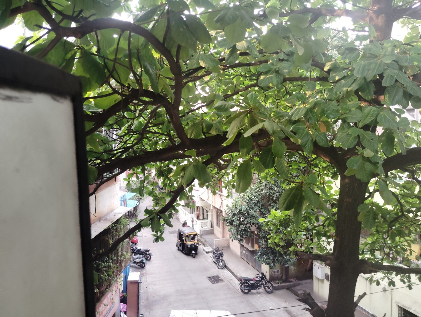 Pigeon Net Installation in Panhala - Safe Spaces for All