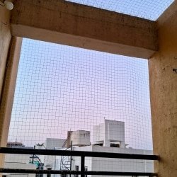 Pigeon Net Installation in Pratibha Nagar - A Safe Guide