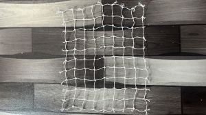 Pigeon Net Installation in Shivaji Peth - Safe Balconies and Beyond