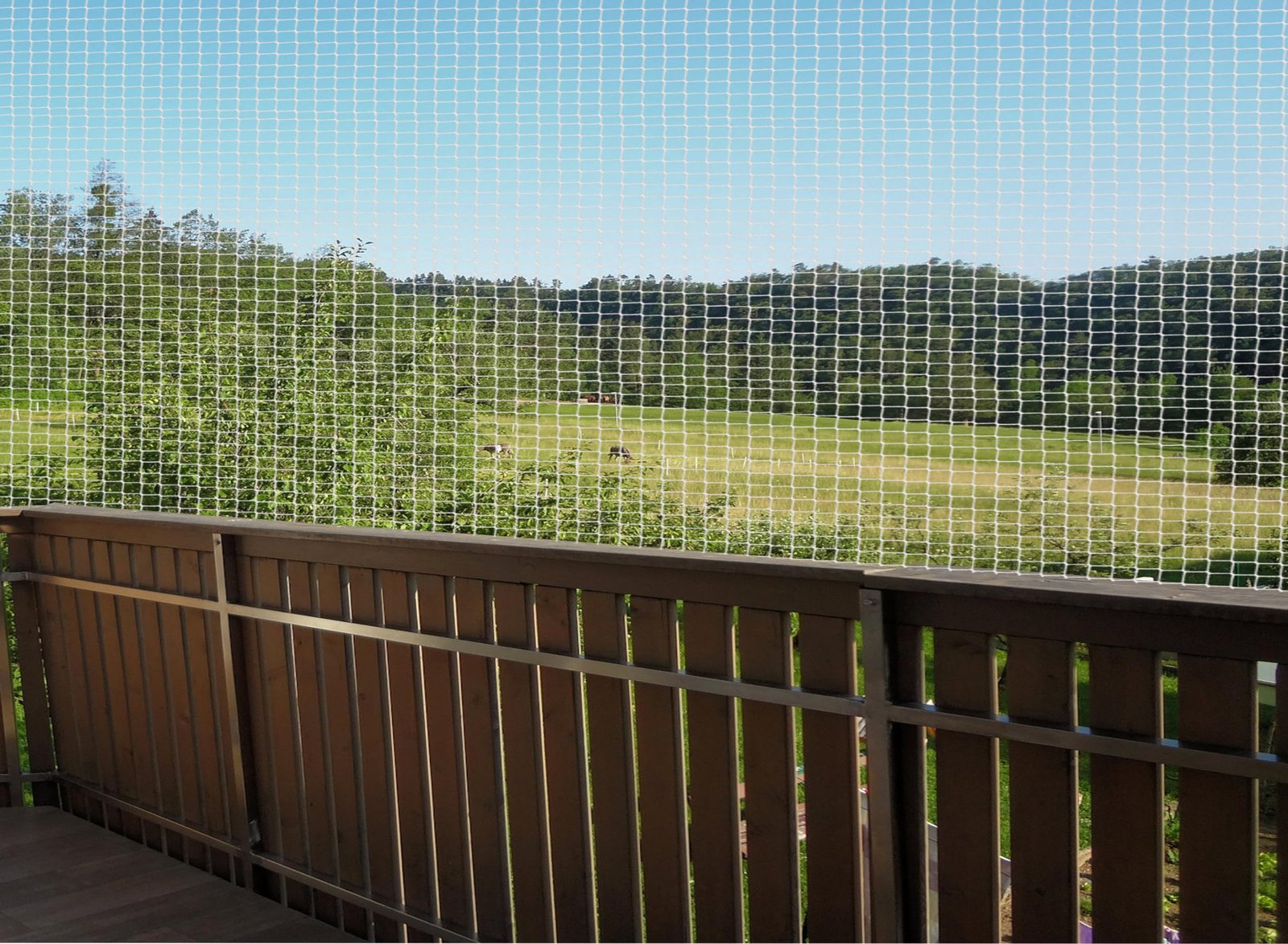 Pigeon Net Installation in Shivaji Peth - Safe Balconies and Beyond
