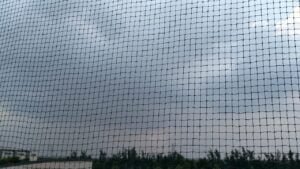 Protecting Homes and Families in Govind Nagar, Nashik: A Guide to Pigeon Control and Balcony Safety Solutions