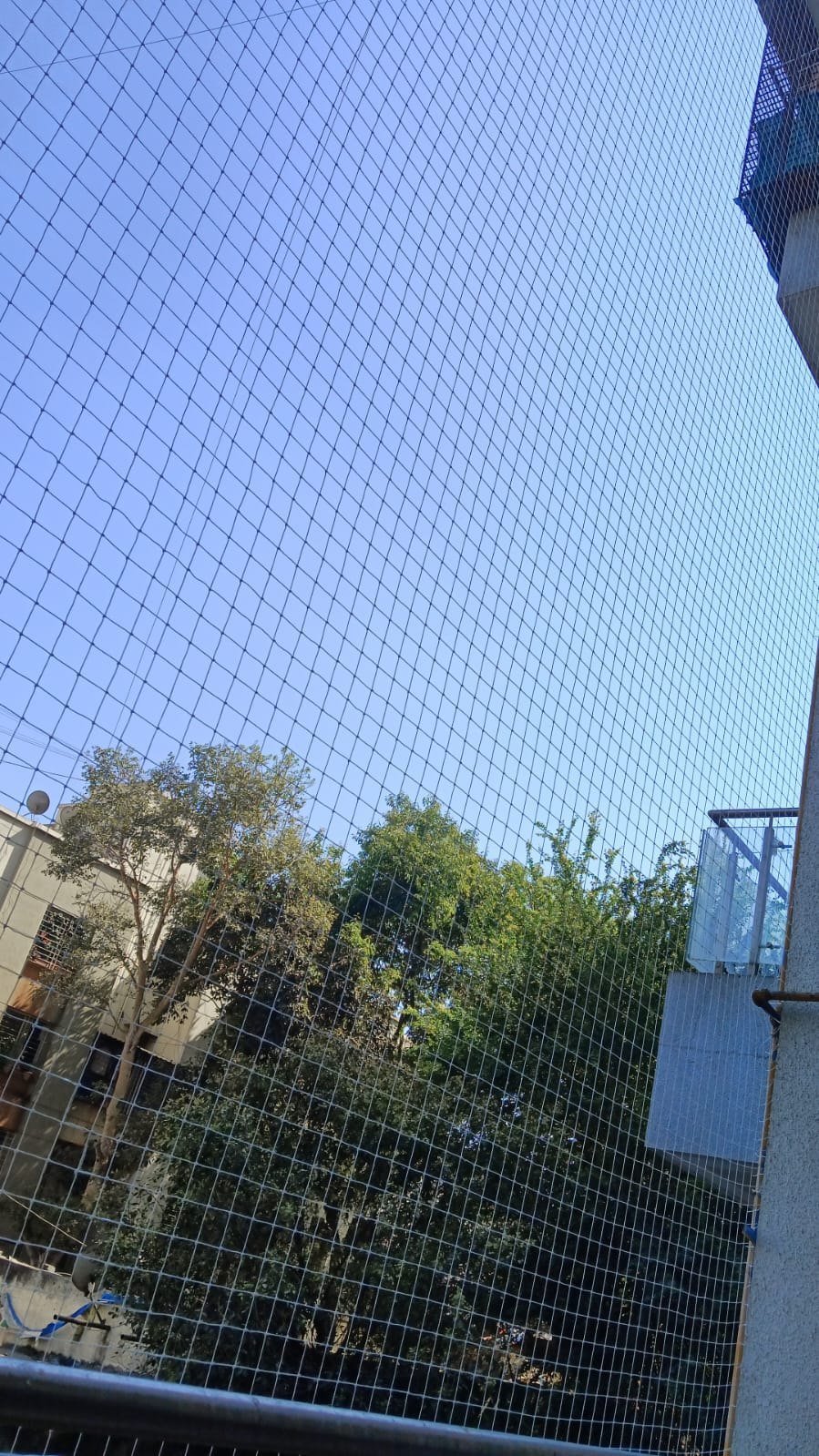 Protecting Homes and Families: Pigeon Net and Safety Solutions on Jintur Road, Parbhani