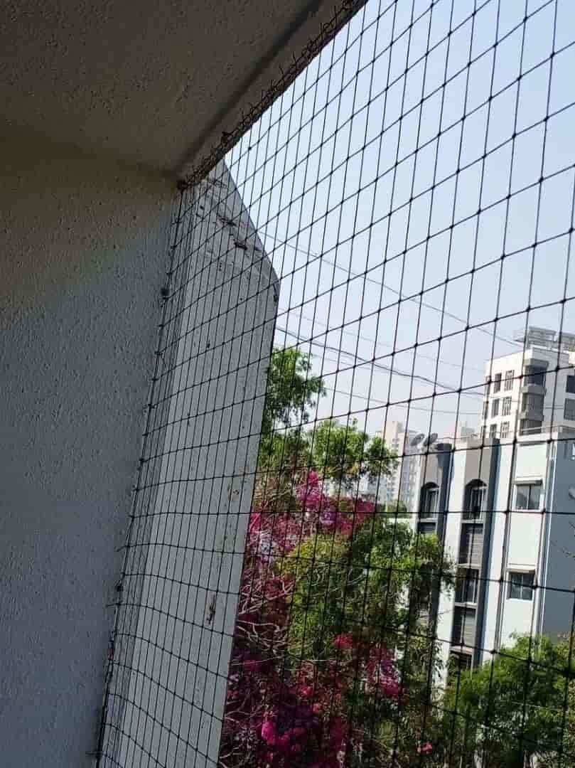 Securing Homes in Adgaon Naka, Nashik - Expert Solutions for Pigeon Control and Safety Nets